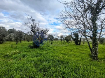 Terreno para Venda em Silgueiros