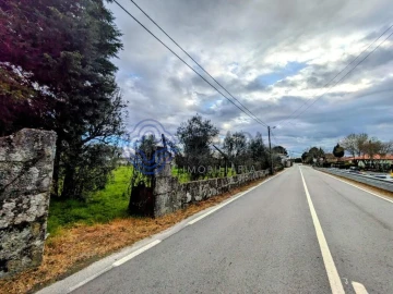Terreno para Venda em Silgueiros