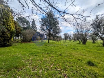 Terreno para Venda em Silgueiros
