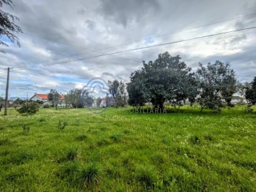 Terreno para Venda em Silgueiros