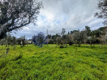 Terreno para Venda em Silgueiros