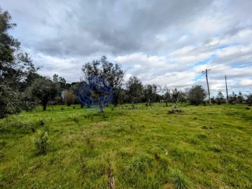 Terreno para Venda em Silgueiros