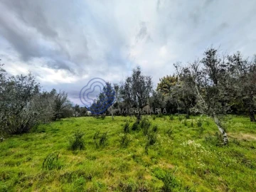 Terreno para Venda em Silgueiros
