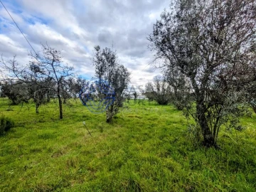 Terreno para Venda em Silgueiros