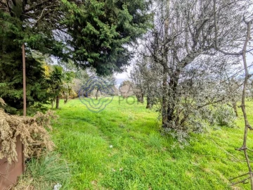 Terreno para Venda em Silgueiros