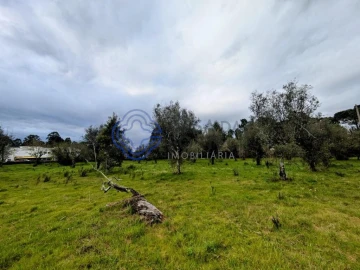 Terreno para Venda em Silgueiros