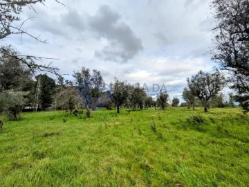 Terreno para Venda em Silgueiros