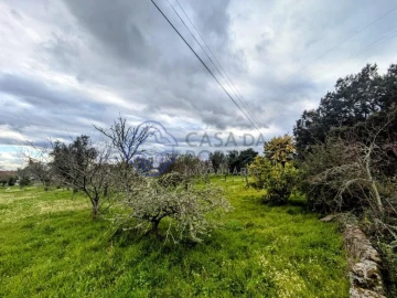 Terreno para Venda em Silgueiros