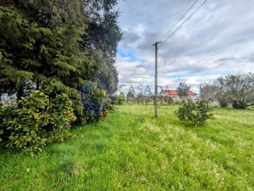 Terreno para Venda em Silgueiros