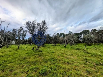 Terreno para Venda em Silgueiros