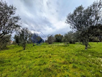 Terreno para Venda em Silgueiros