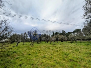 Terreno para Venda em Silgueiros