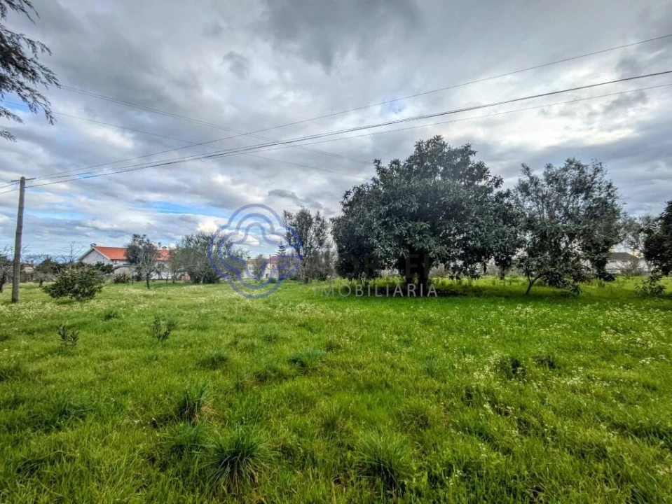 Terreno para Venda em Silgueiros Foto 13