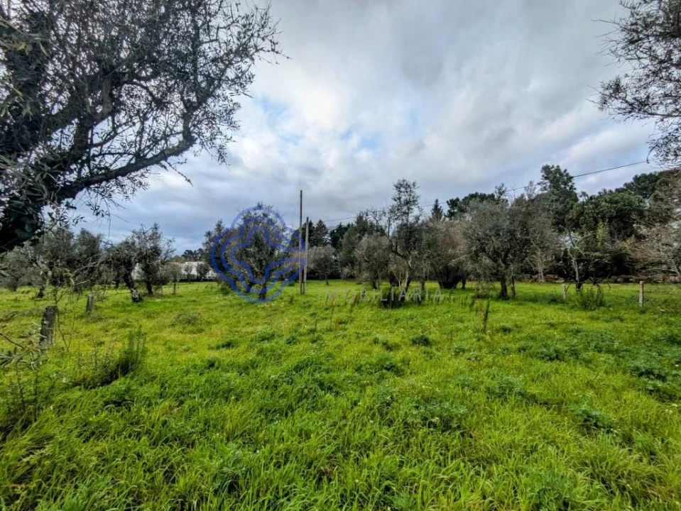 Terreno para Venda em Silgueiros Foto 16