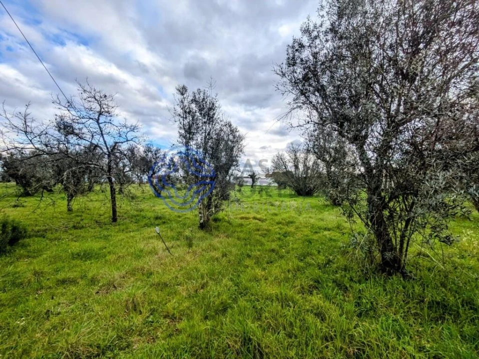 Terreno para Venda em Silgueiros Foto 22