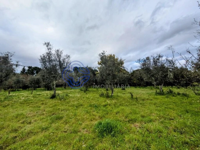Terreno para Venda em Silgueiros Foto 12