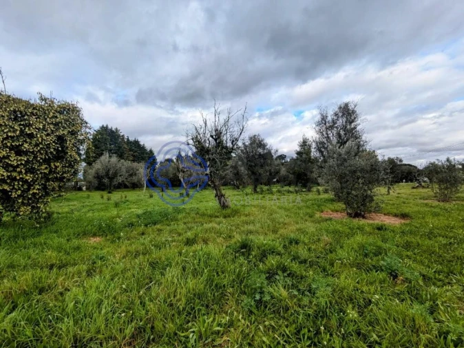 Terreno para Venda em Silgueiros Foto 24