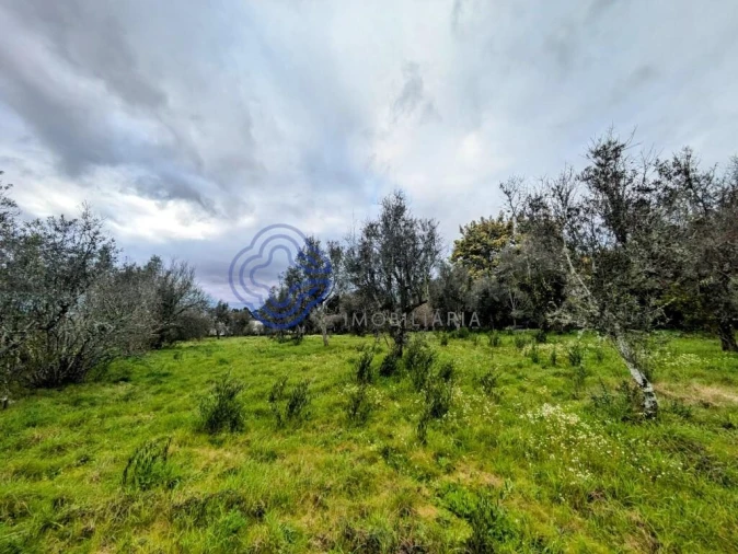 Terreno para Venda em Silgueiros Foto 6