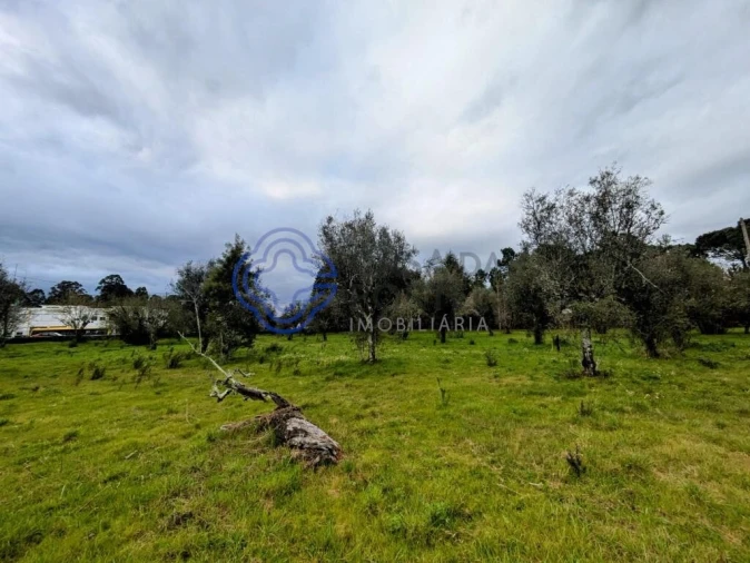 Terreno para Venda em Silgueiros Foto 3