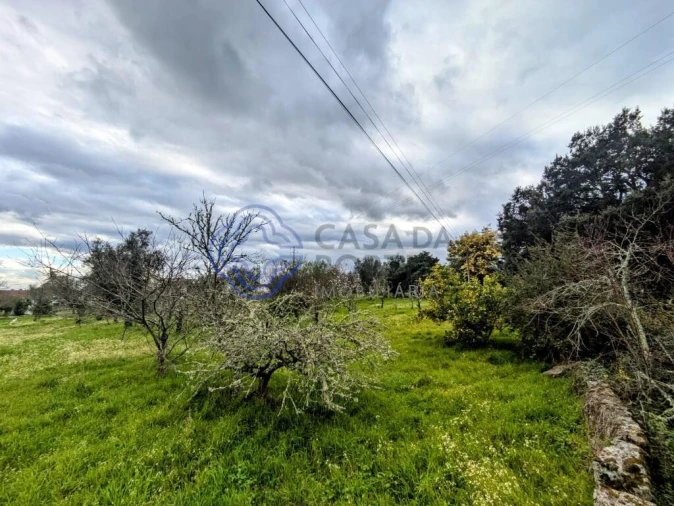 Terreno para Venda em Silgueiros Foto 10