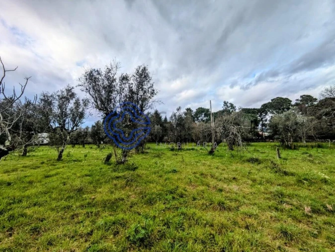 Terreno para Venda em Silgueiros Foto 17