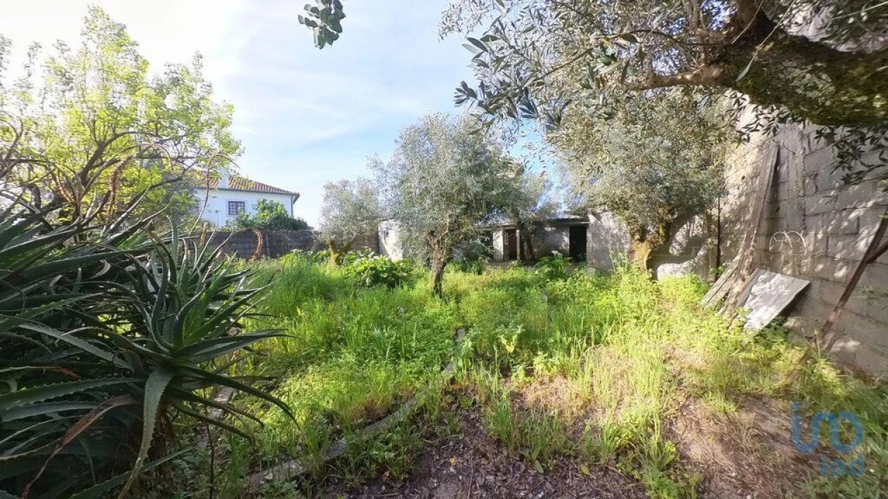 Terreno para Venda em Pedrogão Grande Foto 6