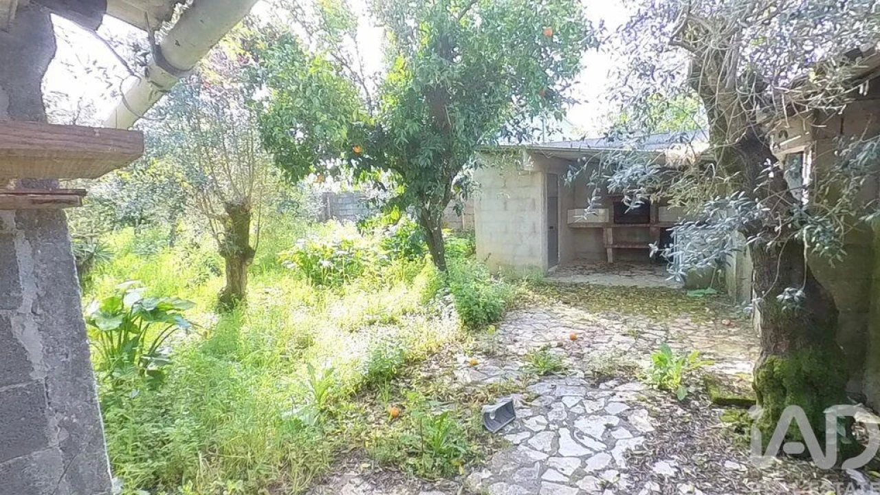 Terreno para Venda em Pedrogão Grande Foto 15