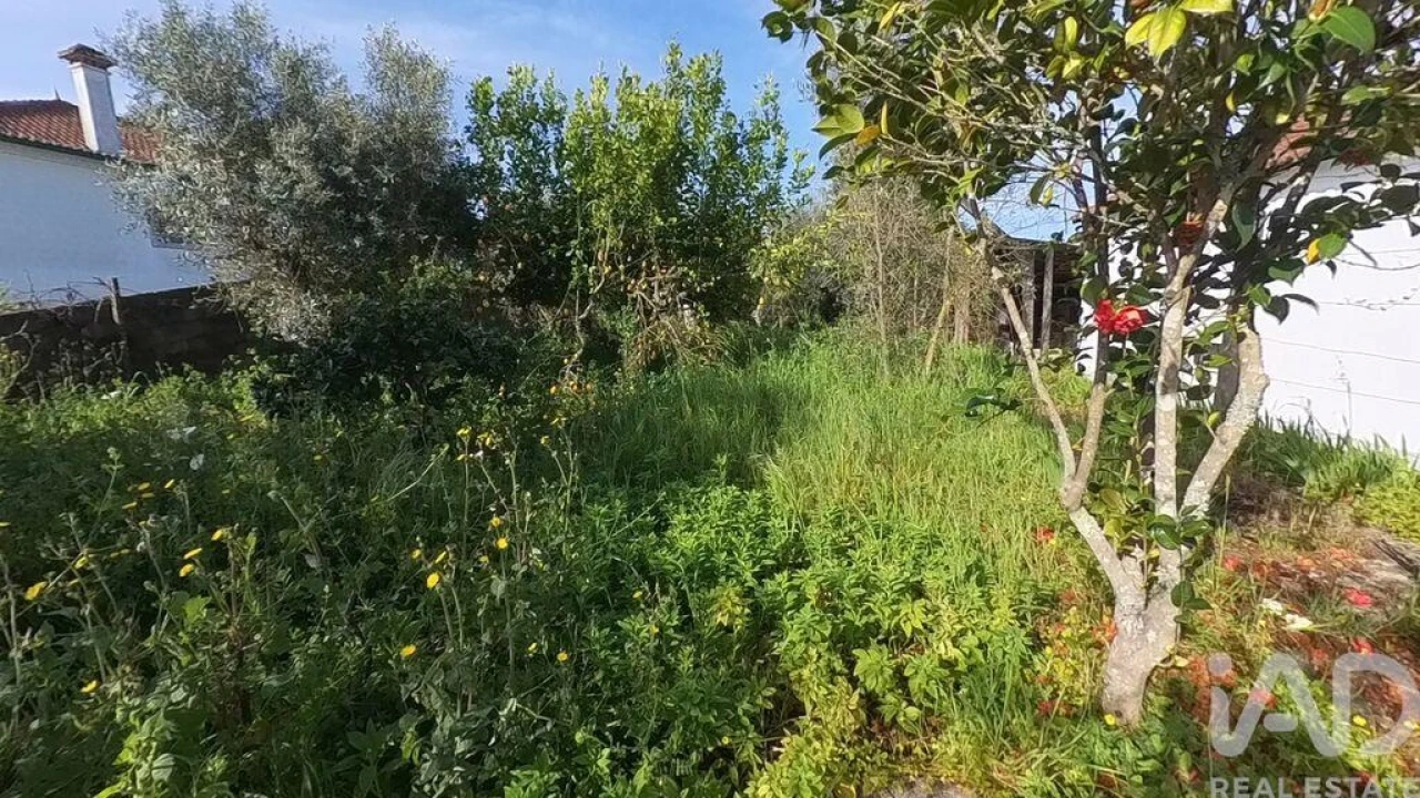 Terreno para Venda em Pedrogão Grande Foto 20