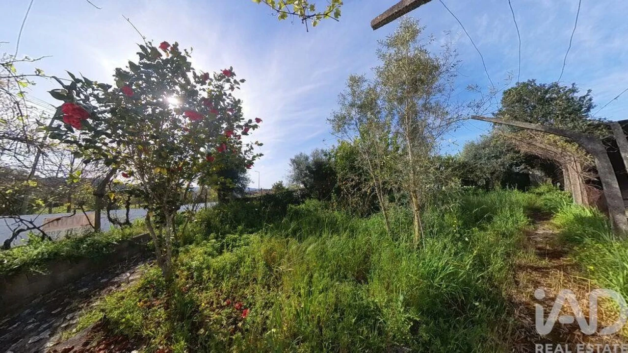 Terreno para Venda em Pedrogão Grande Foto 17