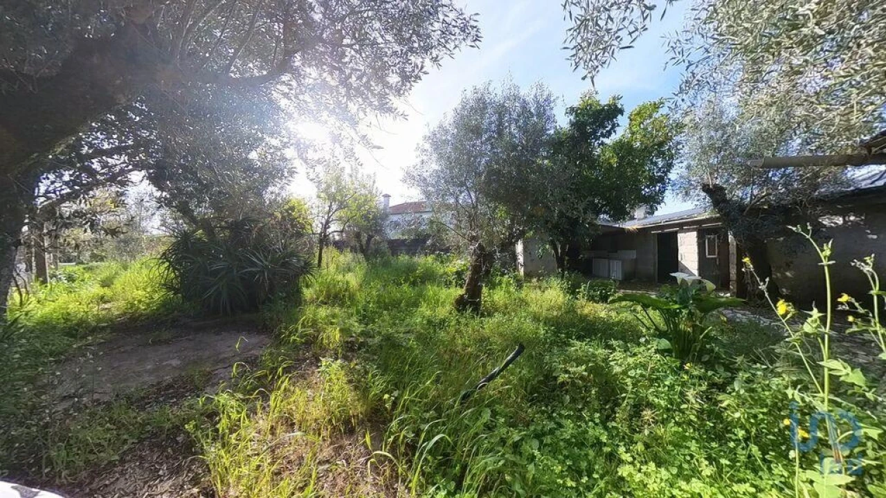 Terreno para Venda em Pedrogão Grande Foto 9