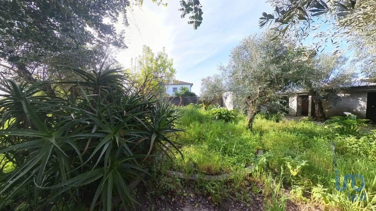 Terreno para Venda em Pedrogão Grande Foto 2