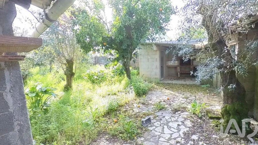 Terreno para Venda em Pedrogão Grande Foto 15