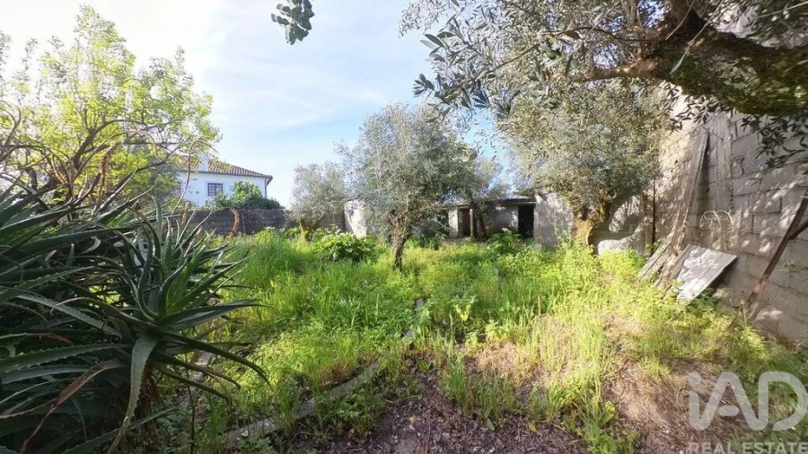 Terreno para Venda em Pedrogão Grande Foto 19