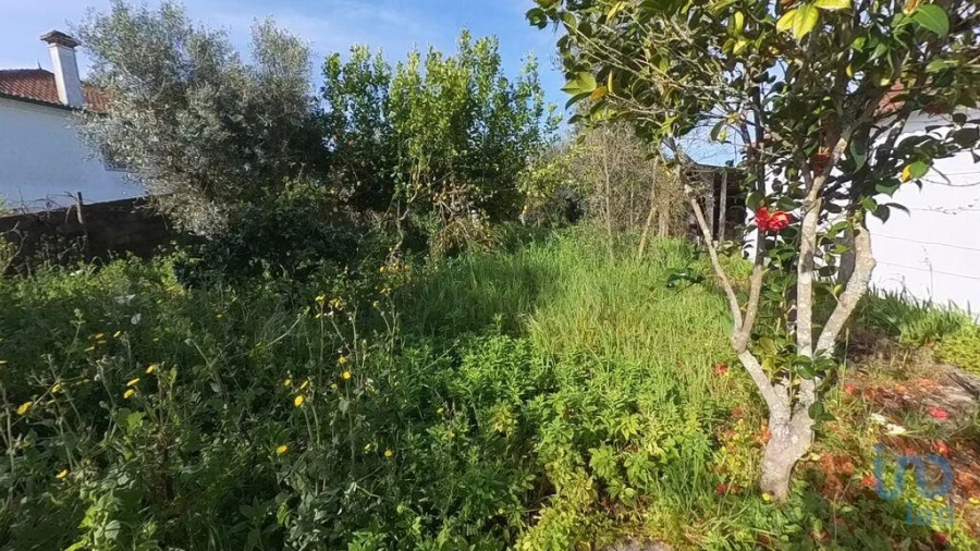 Terreno para Venda em Pedrogão Grande Foto 4