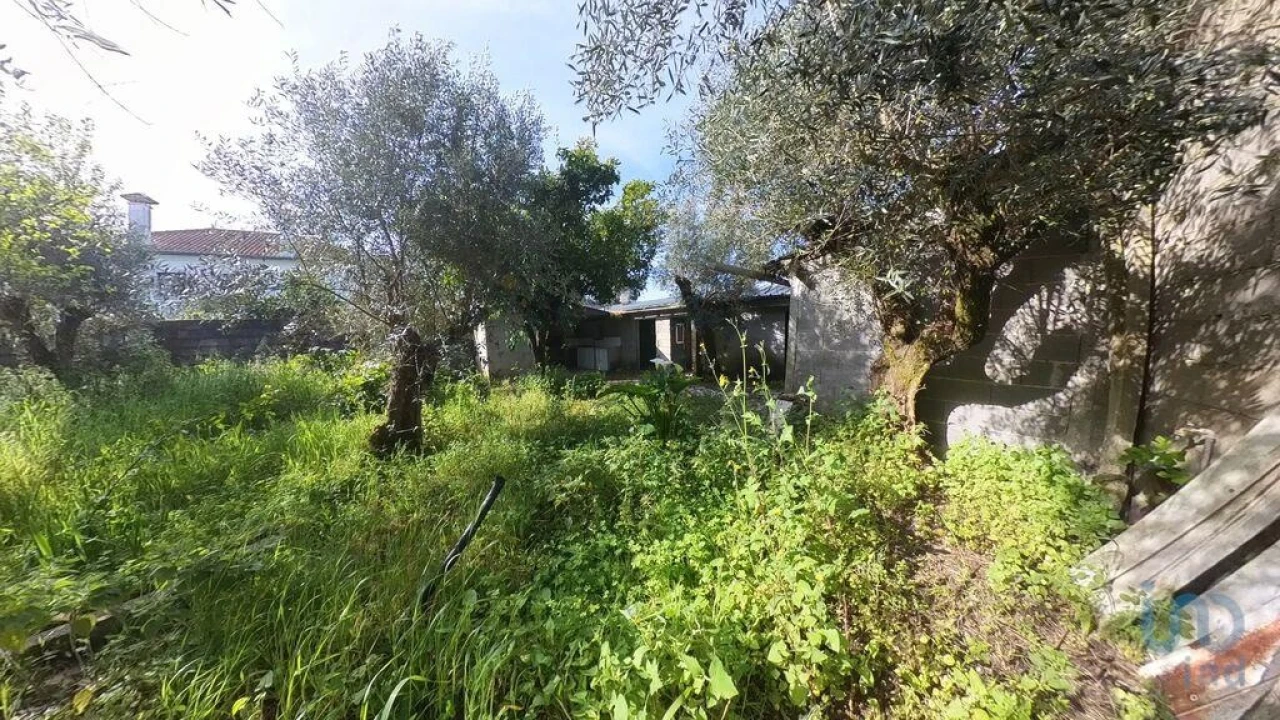 Terreno para Venda em Pedrogão Grande Foto 8