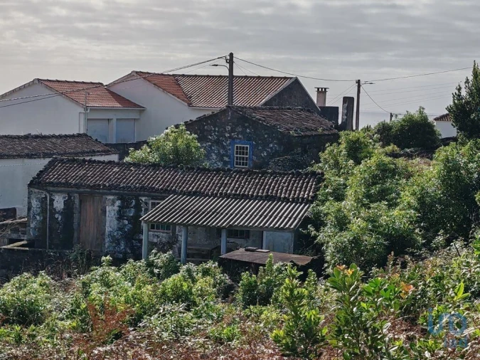 Moradia T1 para Venda em Piedade Foto 4