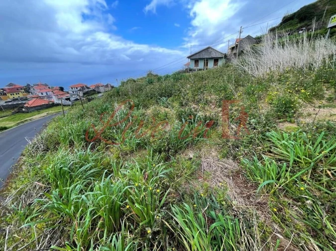 Terreno para Venda em Ribeira da Janela Foto 11