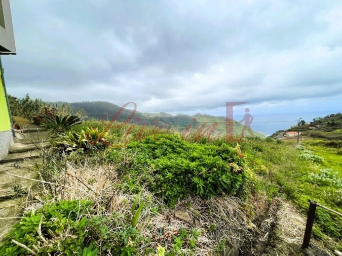 Terreno para Venda em Ribeira da Janela Foto 10