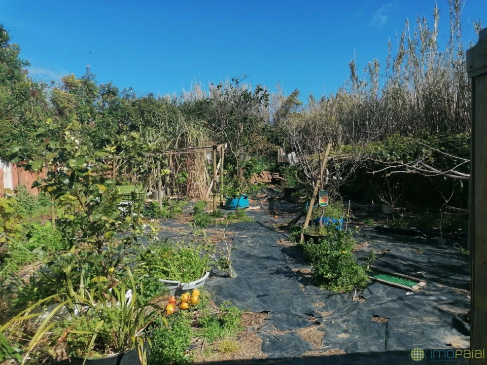 Moradia T3 para Venda em Castelo Branco Foto 26