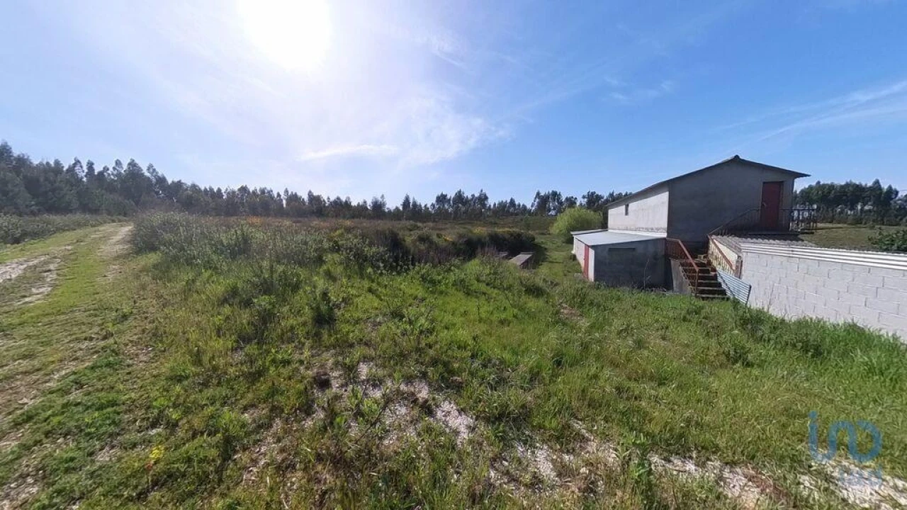 Moradia T4 para Venda em Pedrogão Grande Foto 13