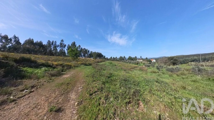 Moradia T4 para Venda em Pedrogão Grande Foto 22