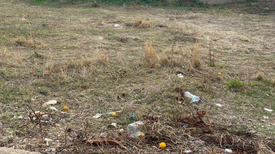 Terreno para Venda em Nossa Senhora da Conceição, São Brás dos Matos, Juromenha