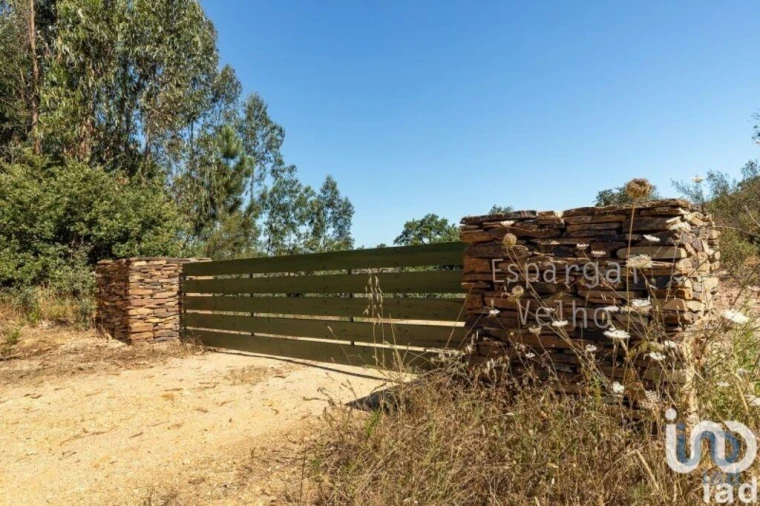 Terreno para Venda em São Salvador e Santa Maria