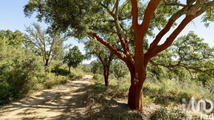 Terreno para Venda em São Salvador e Santa Maria Foto 16