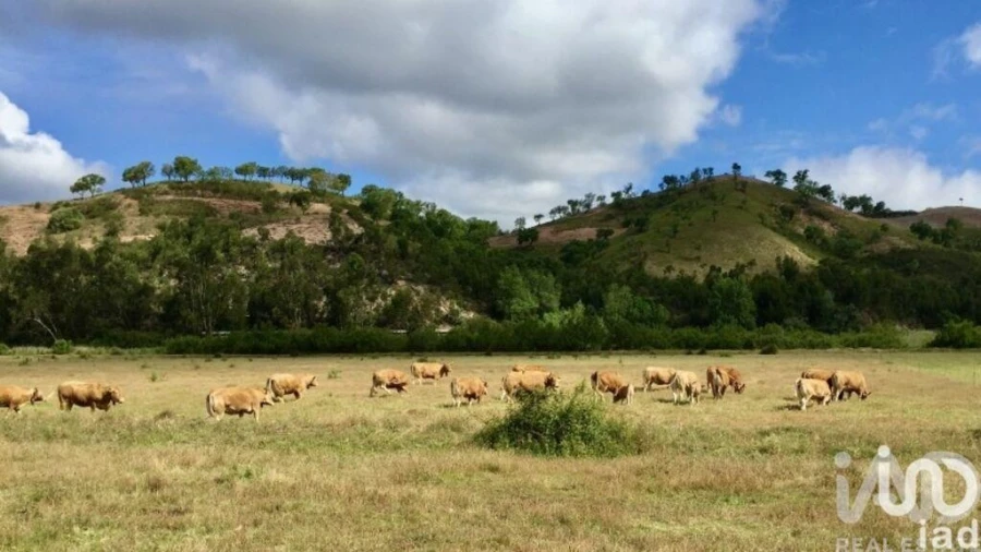 Terreno para Venda em São Salvador e Santa Maria Foto 15