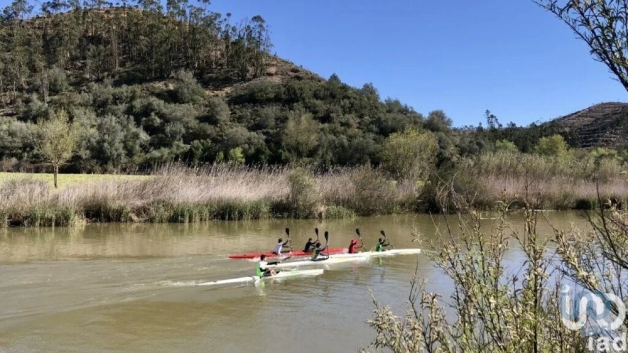 Terreno para Venda em São Salvador e Santa Maria Foto 10