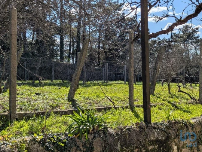 Moradia T6 para Venda em Touguinha e Touguinhó Foto 6
