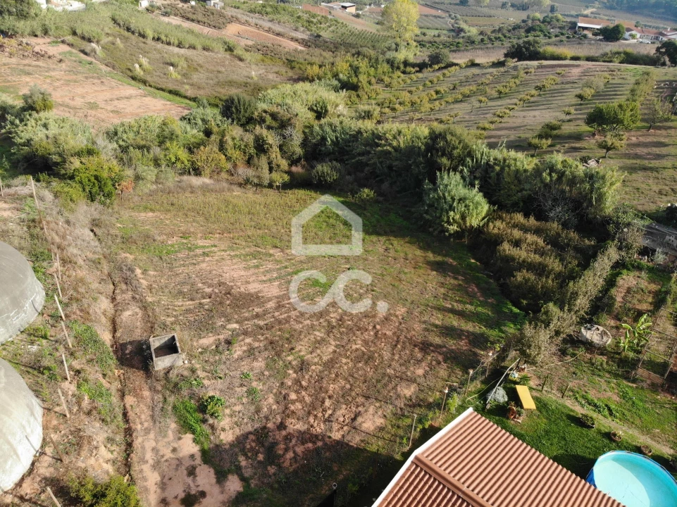 Terreno para Venda em Cadaval e Pêro Moniz Foto 3