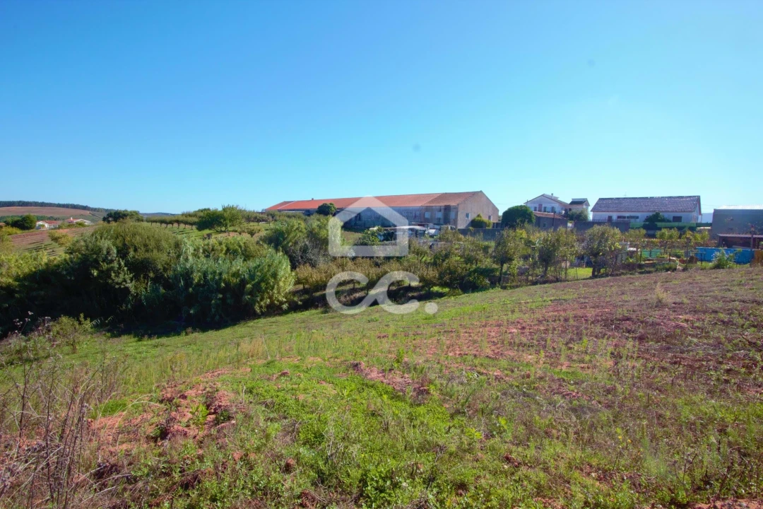 Terreno para Venda em Cadaval e Pêro Moniz Foto 8
