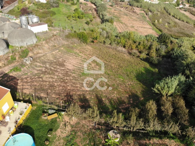 Terreno para Venda em Cadaval e Pêro Moniz Foto 4